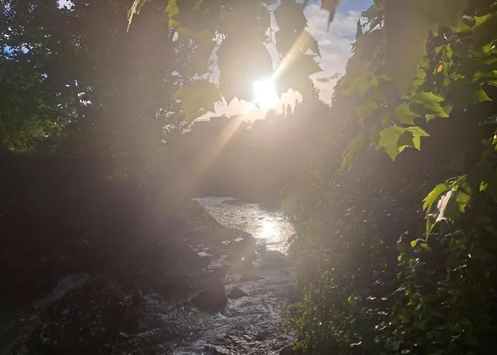 Vandrerhjem Relax Bar