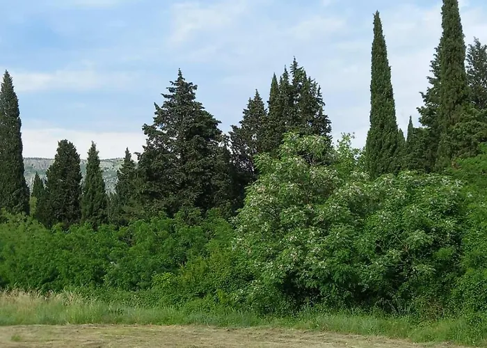 Relax Bar * Podgorica